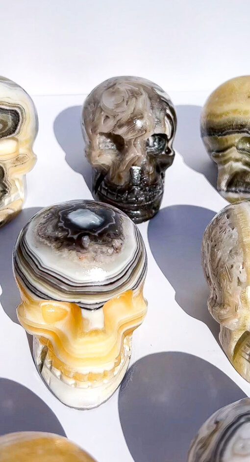 Zebra Calcite Skulls | F-J