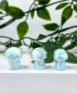 Larimar mushrooms