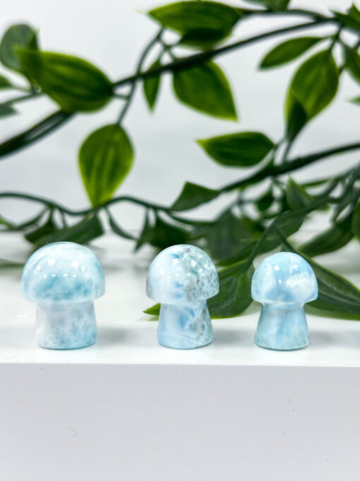 Larimar mushrooms