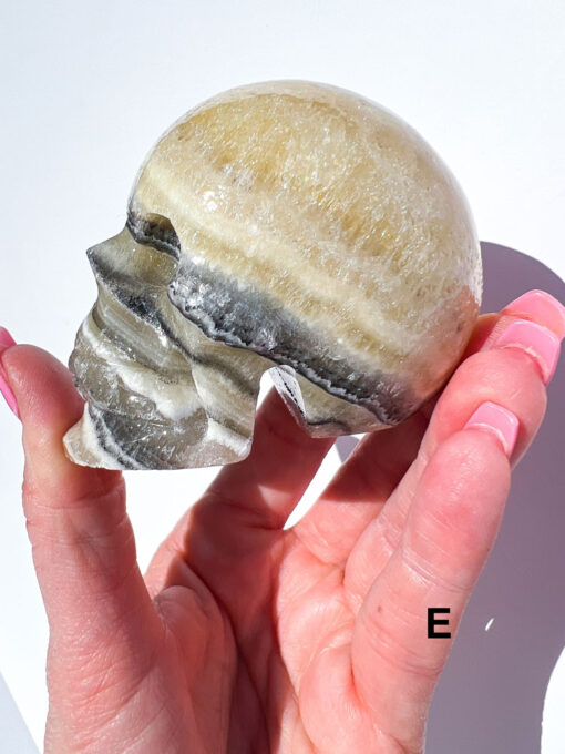 Zebra Calcite Skulls | A-E - Image 16