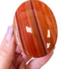 Carnelian palm