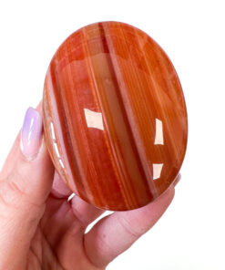 Carnelian palm