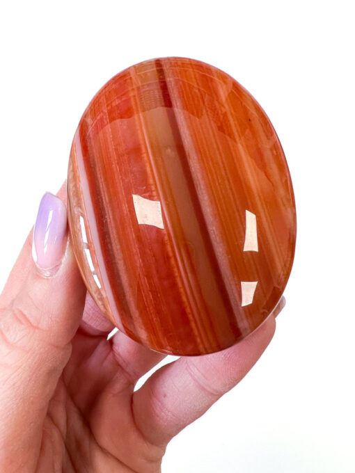 Carnelian palm