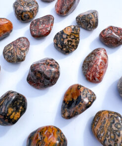 Leopard Skin Jasper tumble