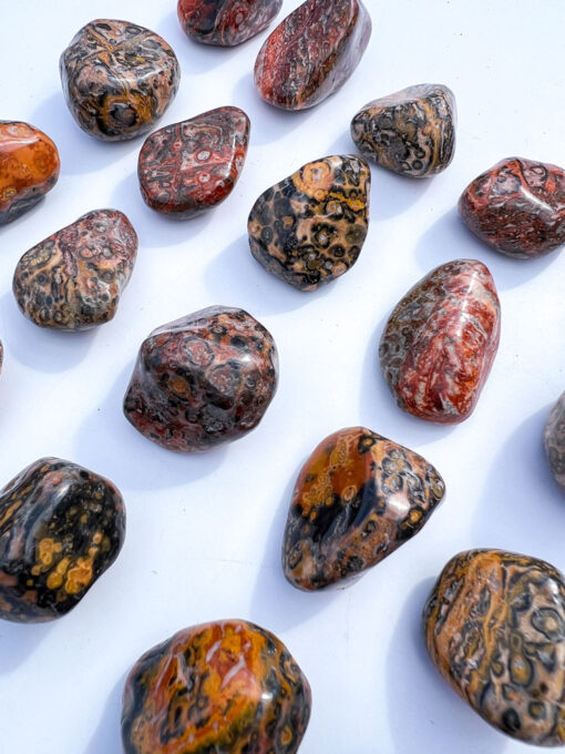 Leopard Skin Jasper tumble