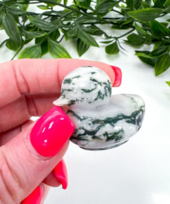 Tree Agate duck