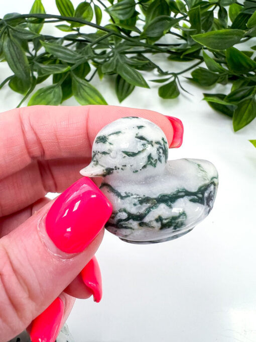 Tree Agate duck