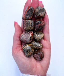 Leopard Skin Jasper tumble