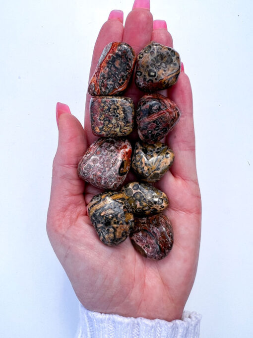 Leopard Skin Jasper tumble