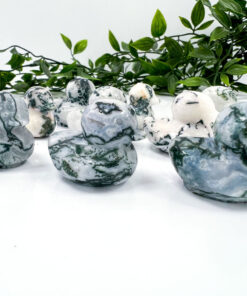 Tree Agate duck