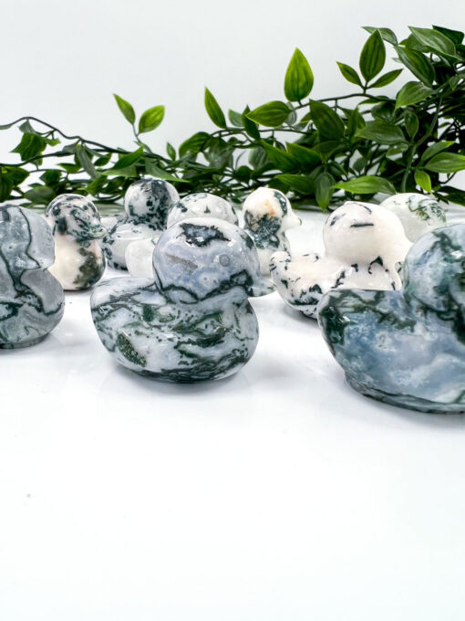 Tree Agate duck