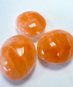 Orange Selenite palm