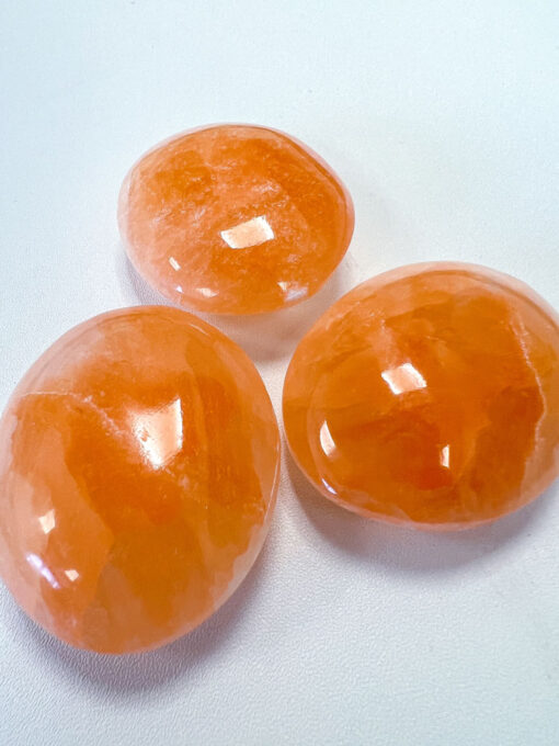 Orange Selenite palm