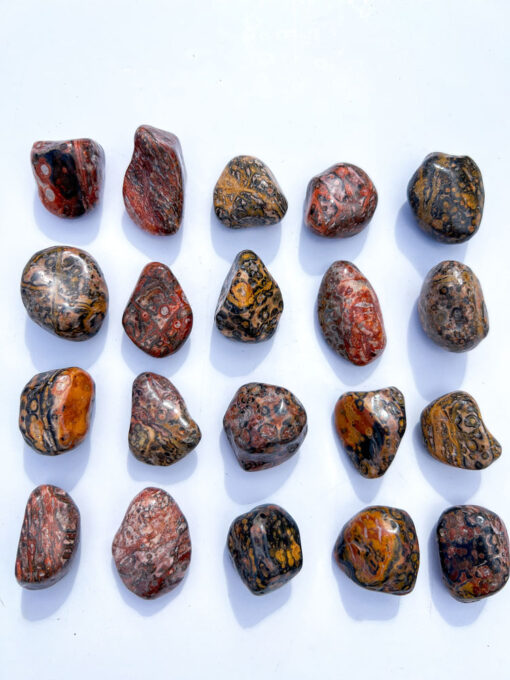 Leopard Skin Jasper tumble