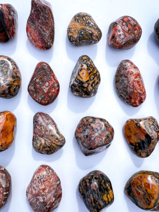 Leopard Skin Jasper tumble