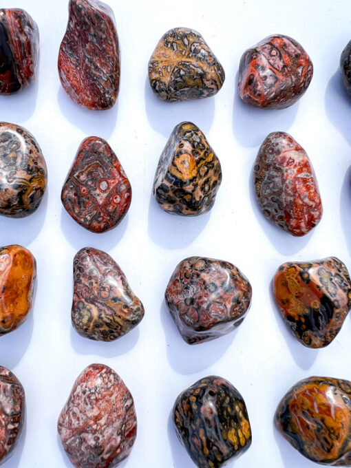 Leopard Skin Jasper tumble