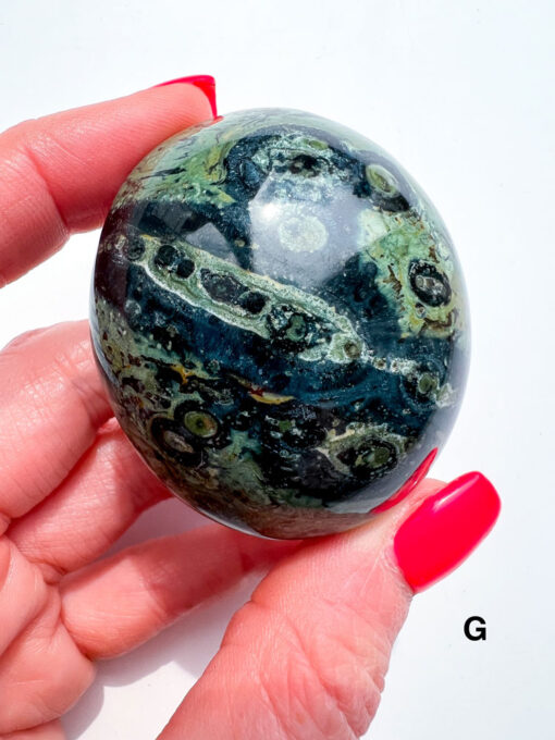 Kambaba Jasper palm