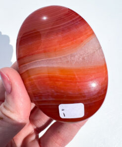 Carnelian palm