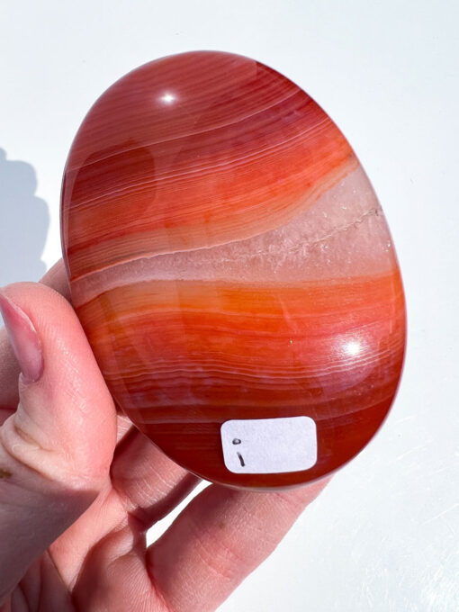 Carnelian palm