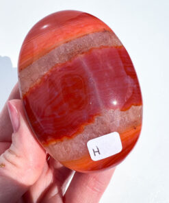 Carnelian palm