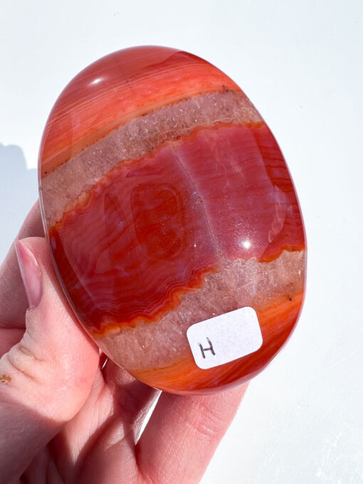 Carnelian palm