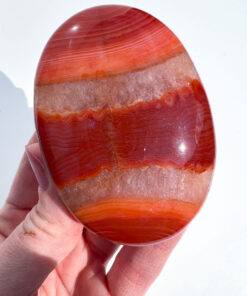 Carnelian palm