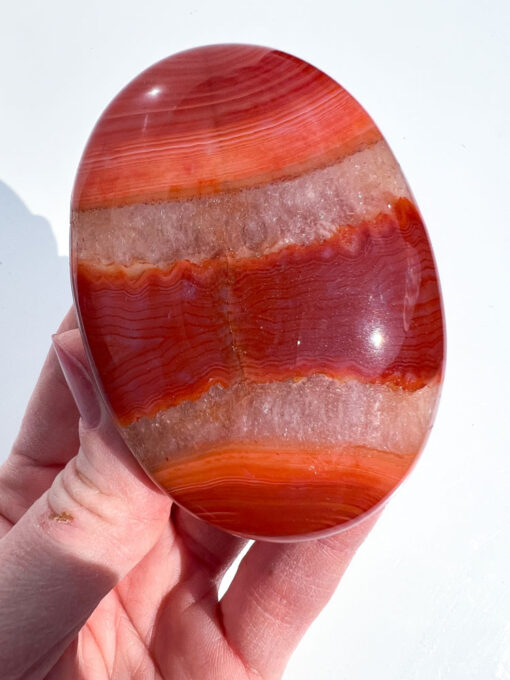 Carnelian palm