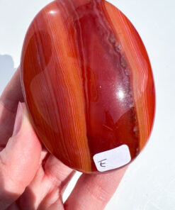 Carnelian palm