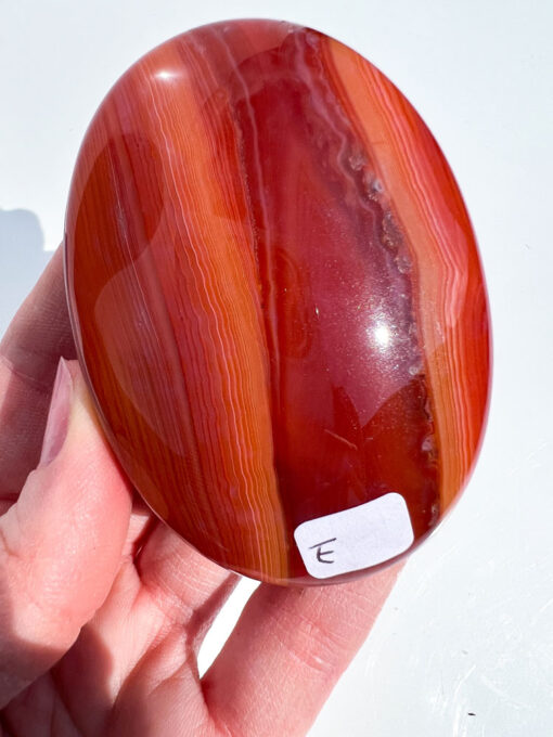 Carnelian palm