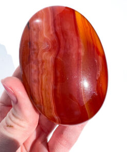 Carnelian palm