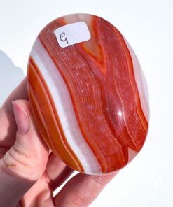 Carnelian palm