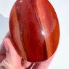 Carnelian palm