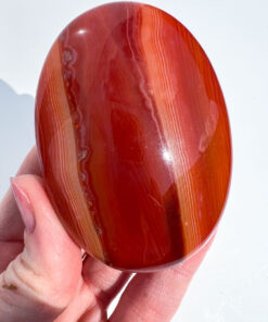 Carnelian palm