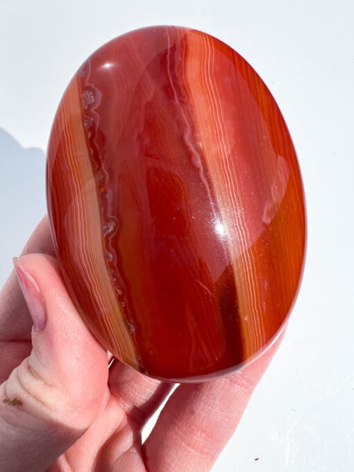 Carnelian palm