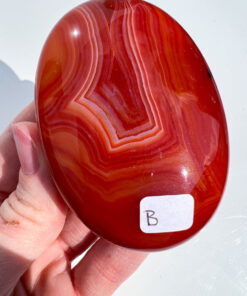 Carnelian palm