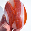 Carnelian palm