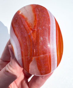 Carnelian palm