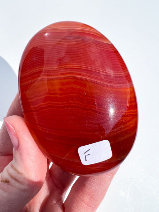 Carnelian palm