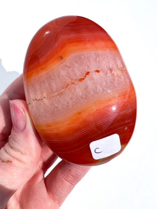 Carnelian palm