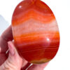 Carnelian palm