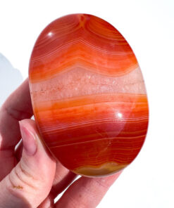 Carnelian palm