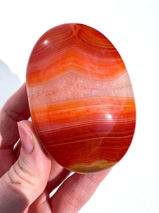 Carnelian palm