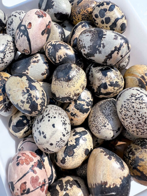 Picture Jasper tumble