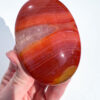 Carnelian palm