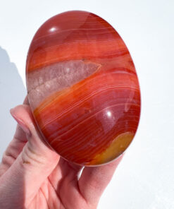 Carnelian palm