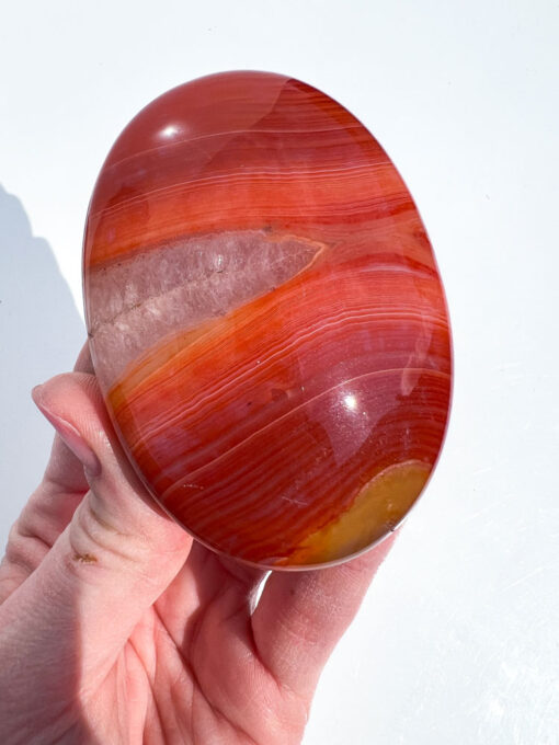 Carnelian palm