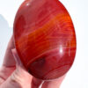 Carnelian palm