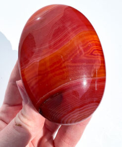 Carnelian palm