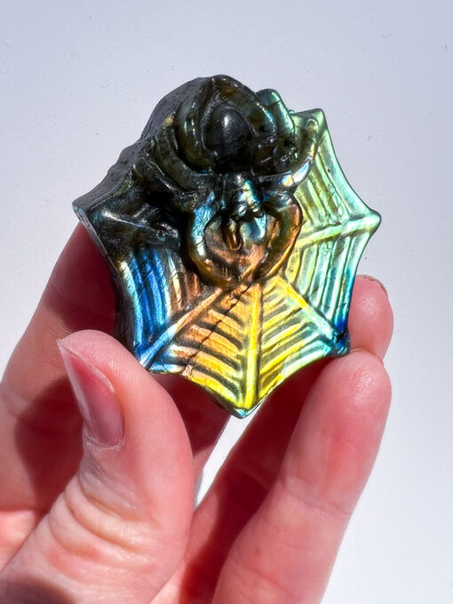 Hand Carved Labradorite Spider on a web carving