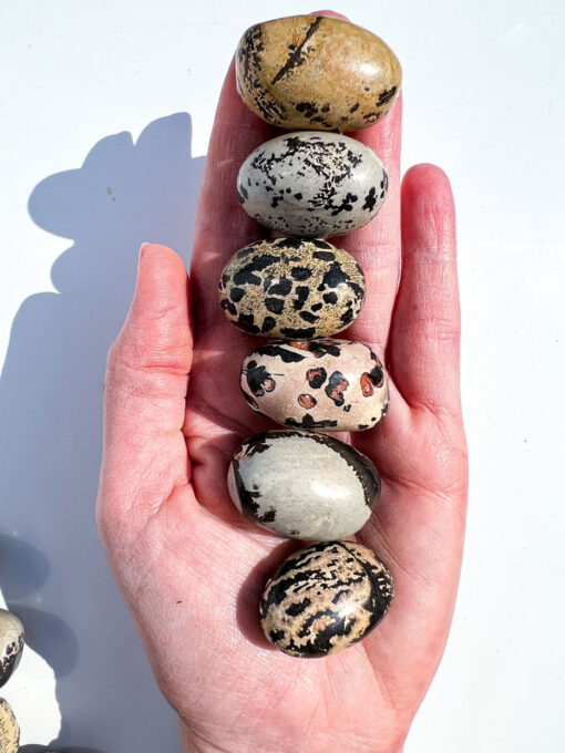 Picture Jasper tumble